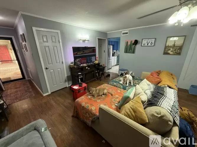 Property Image 12