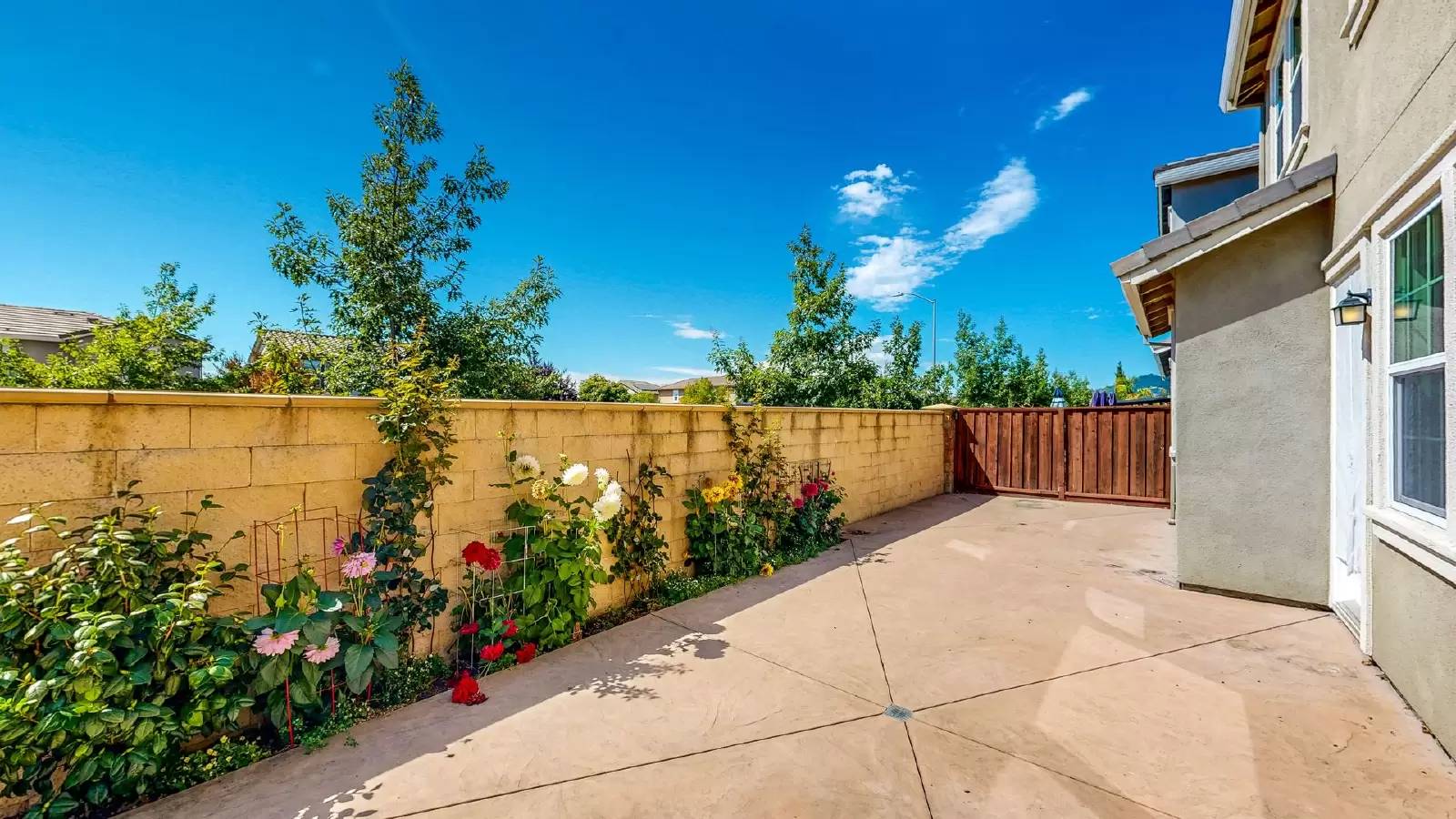 Property Image 61