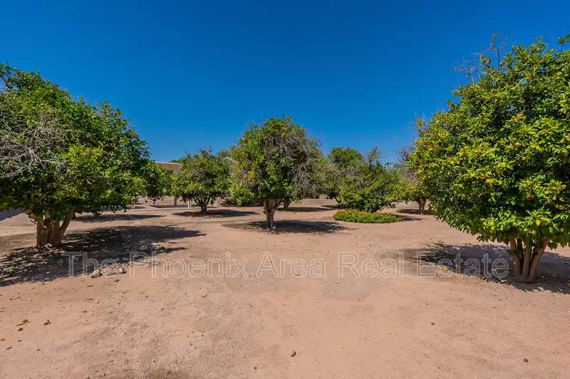 Property Image 51