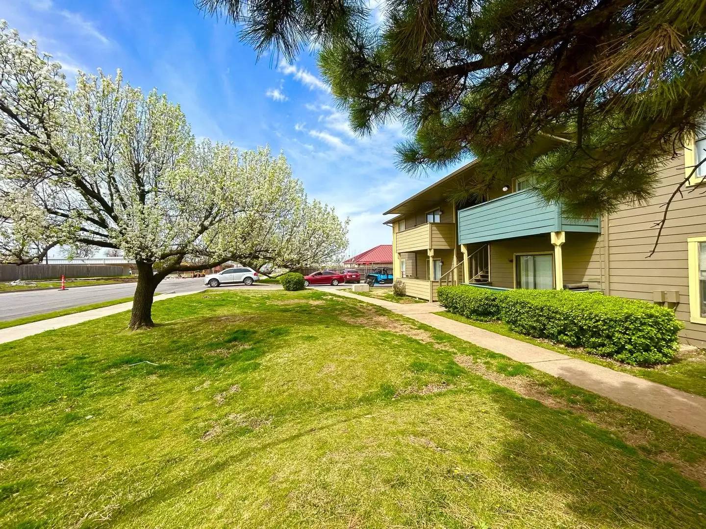 Property Image 12