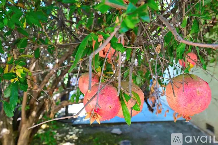 Property Image 52