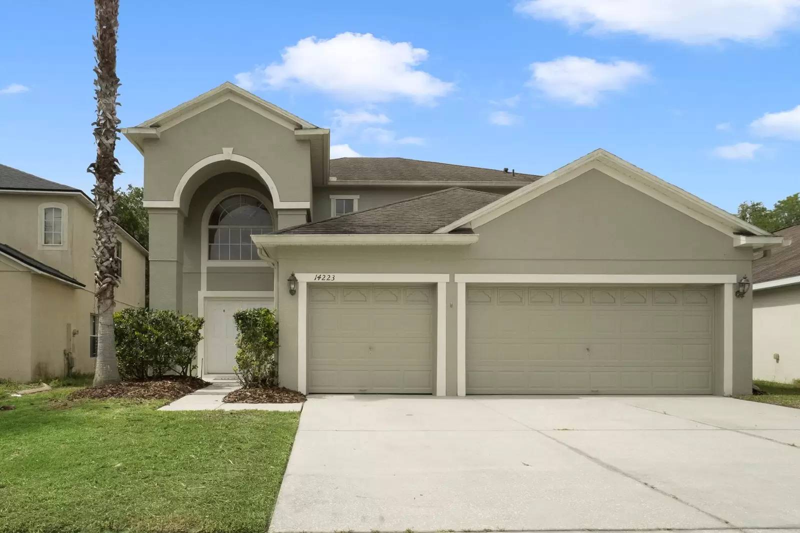 cover background