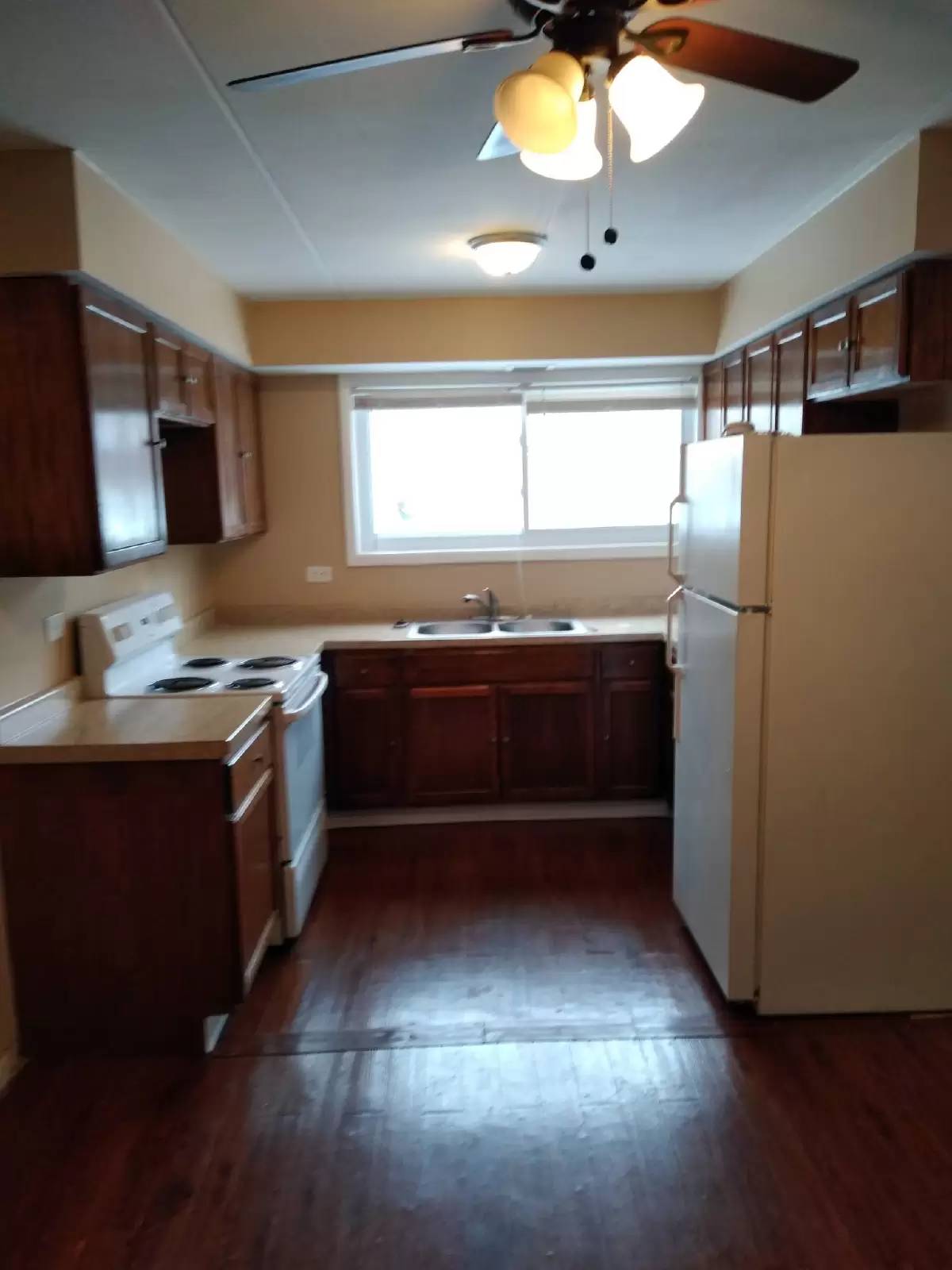 cover background