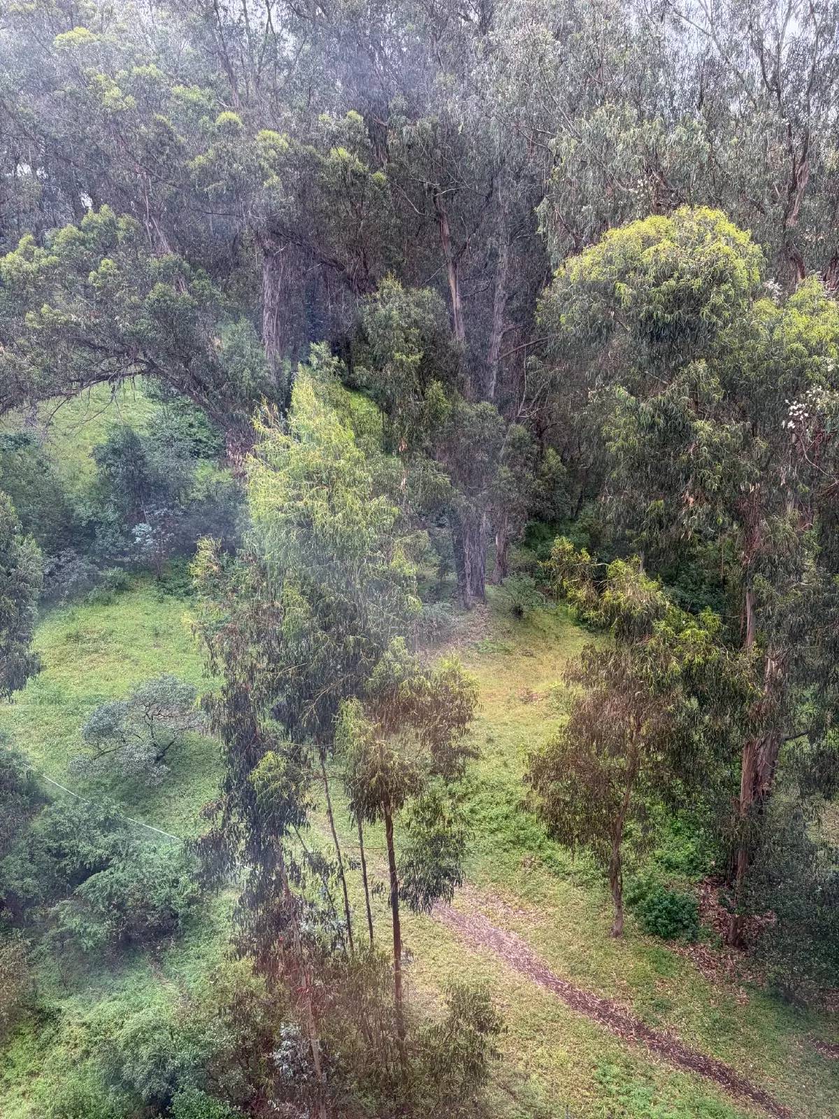 cover background