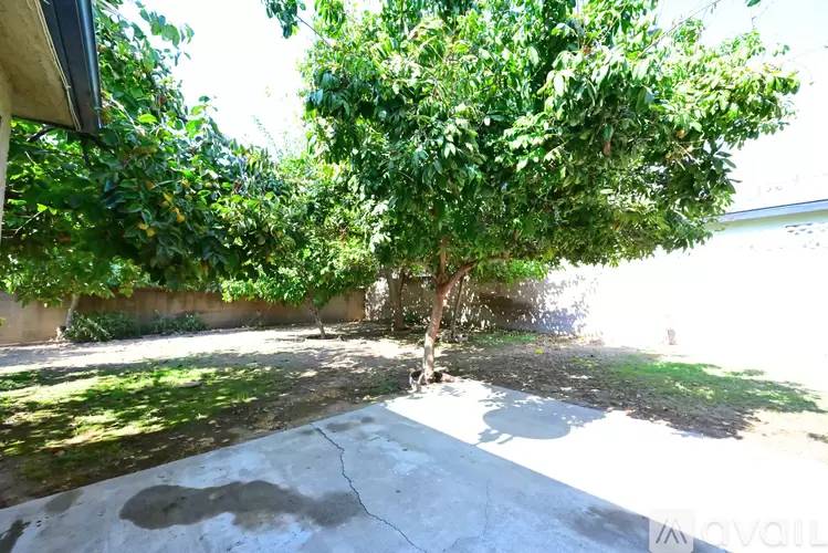 Property Image 83