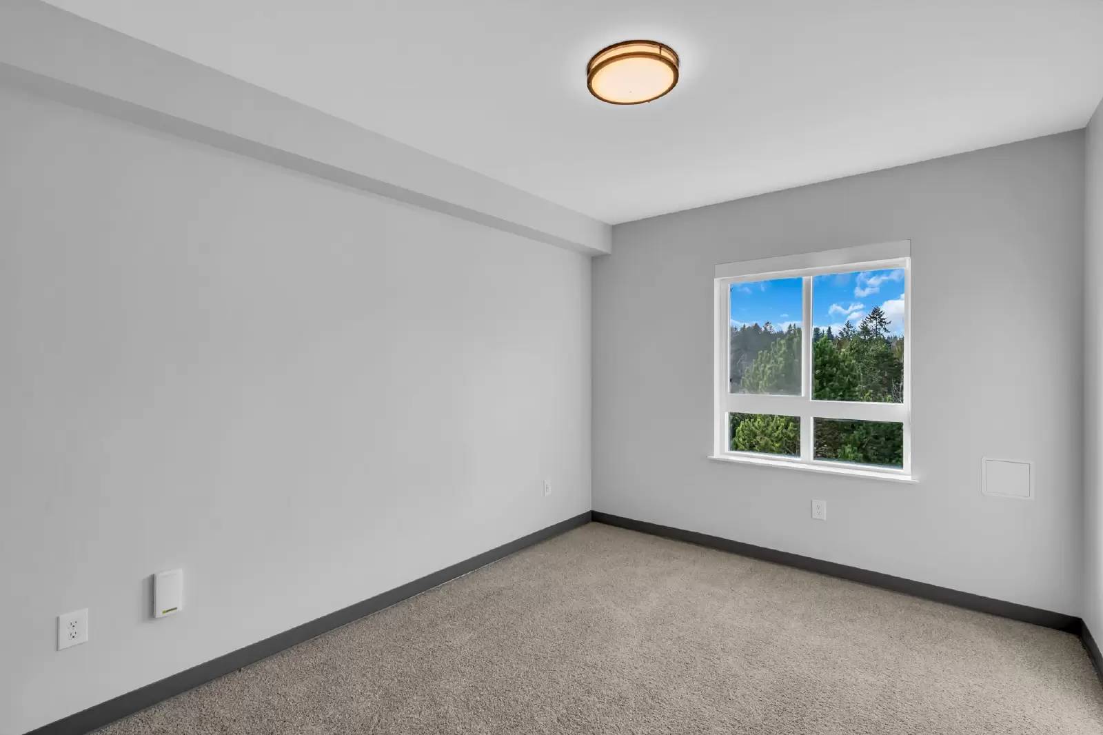 Property Image 80