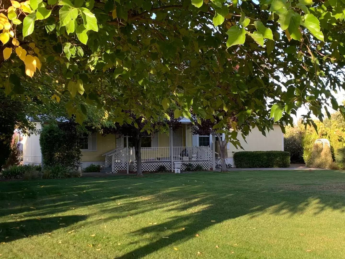 Property Image 46