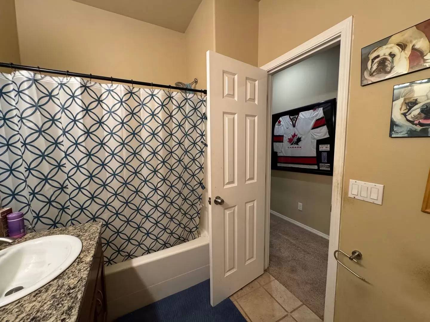 Property Image 58