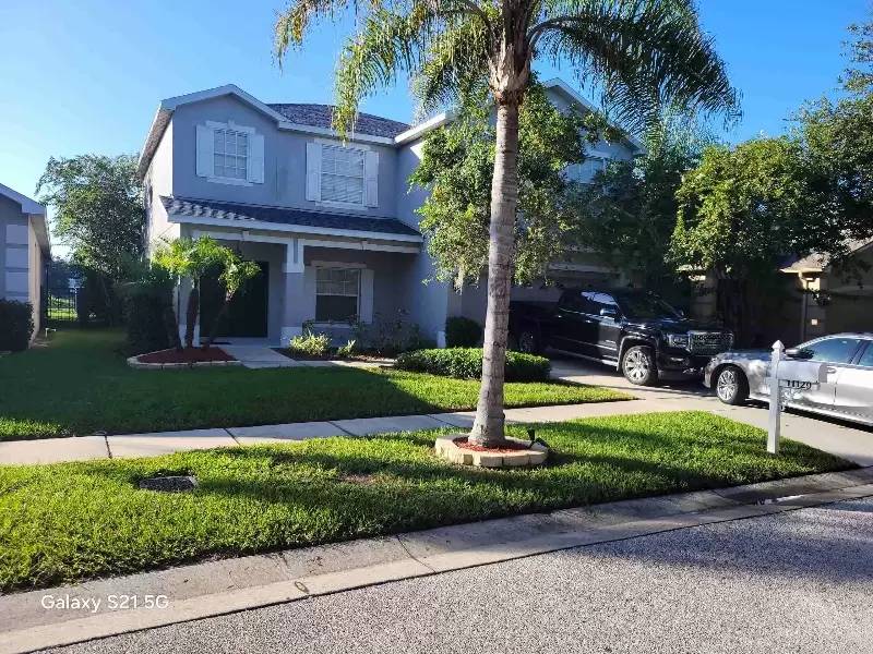 cover background