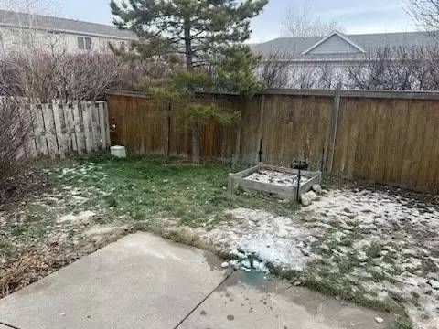 cover background