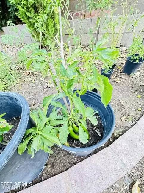Property Image 67