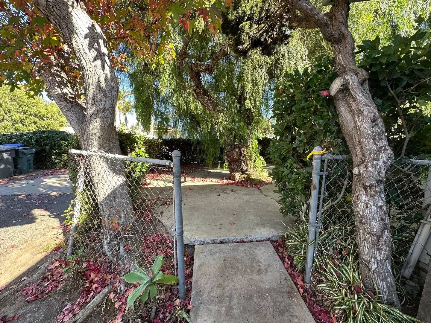 Property Image 42