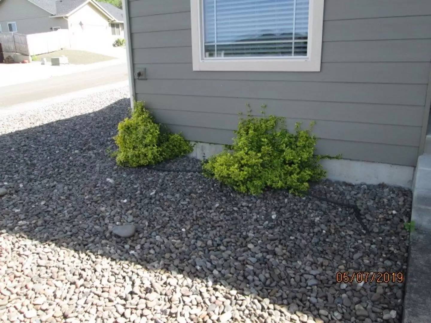 Property Image 193