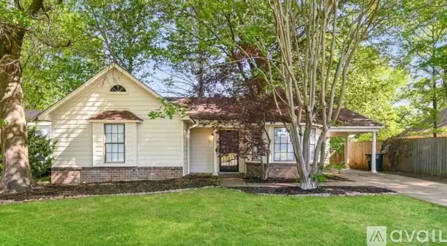 cover background