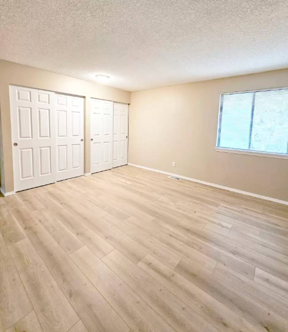 cover background