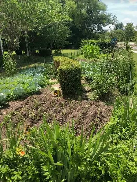 Property Image 36