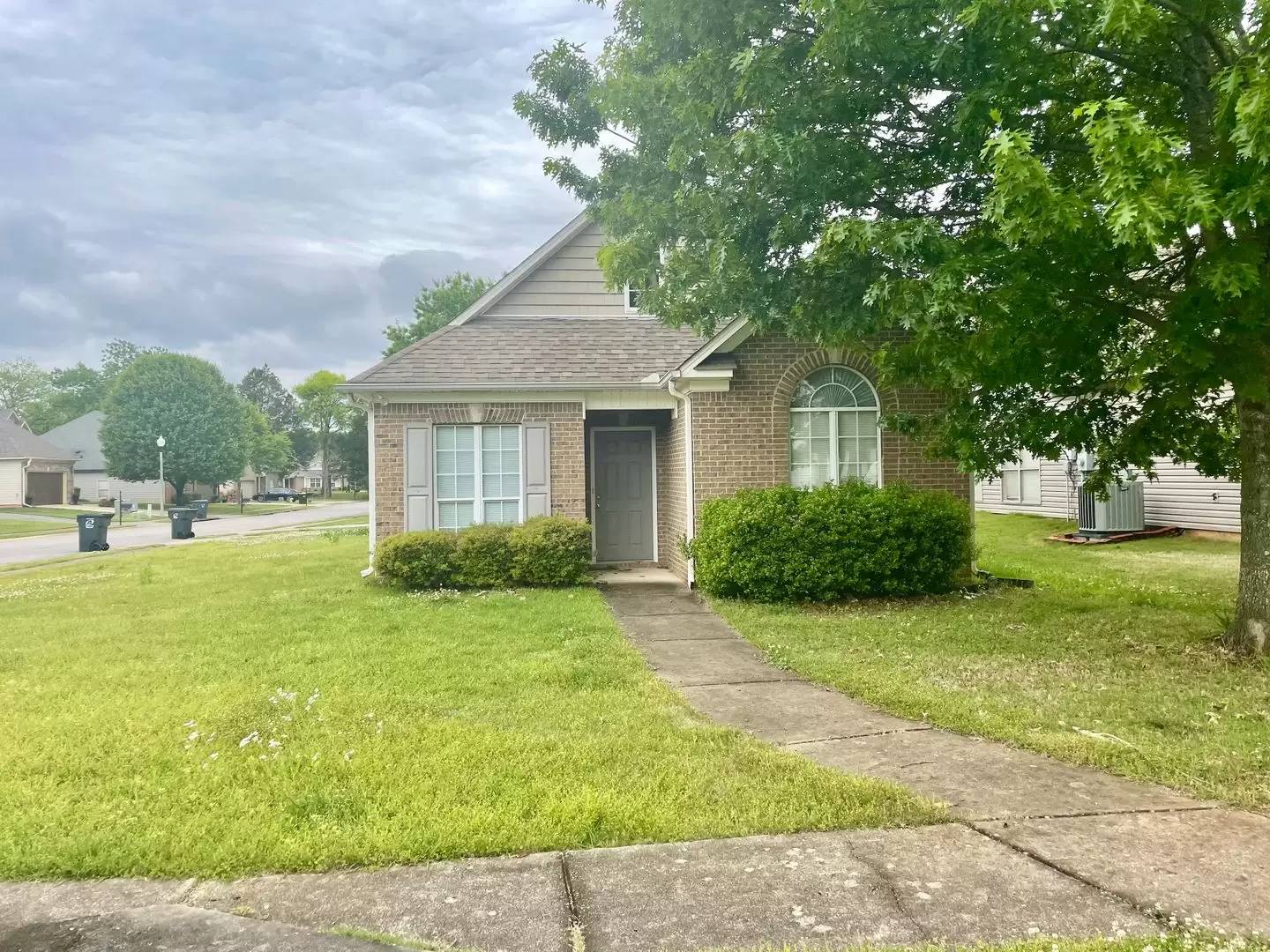 cover background