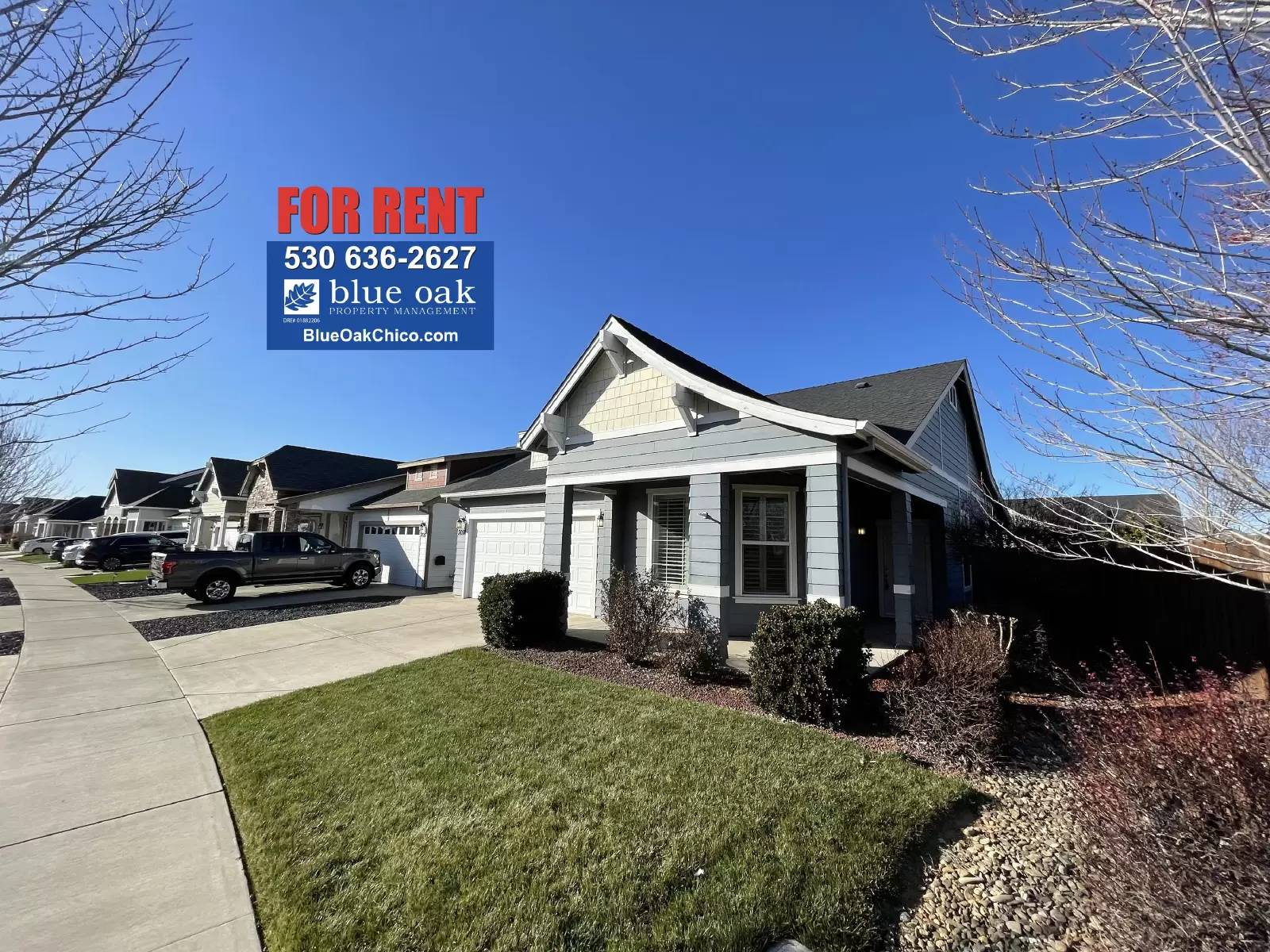 cover background