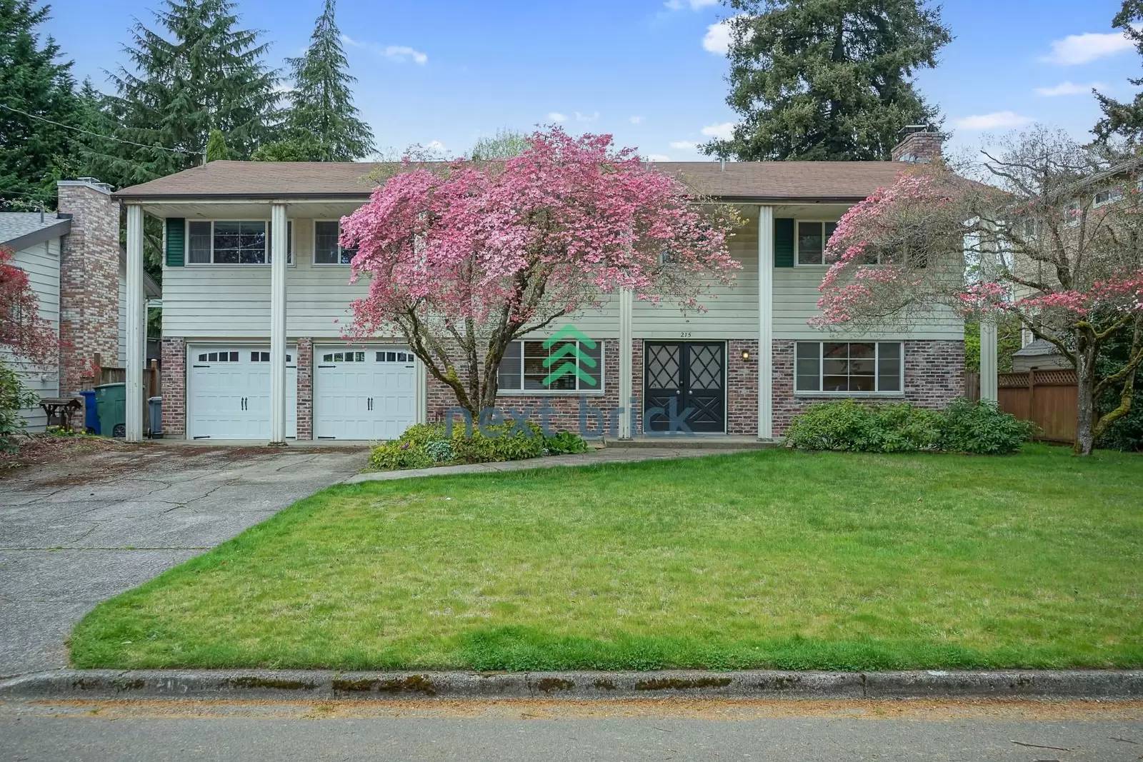 cover background