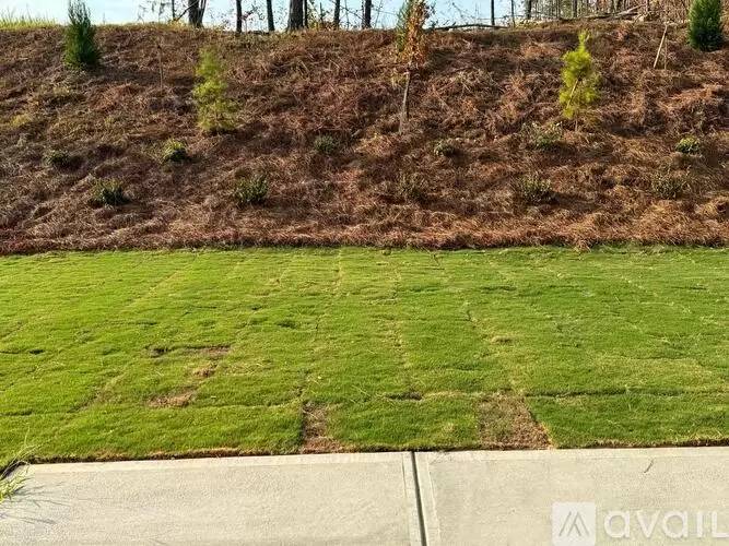 Property Image 55