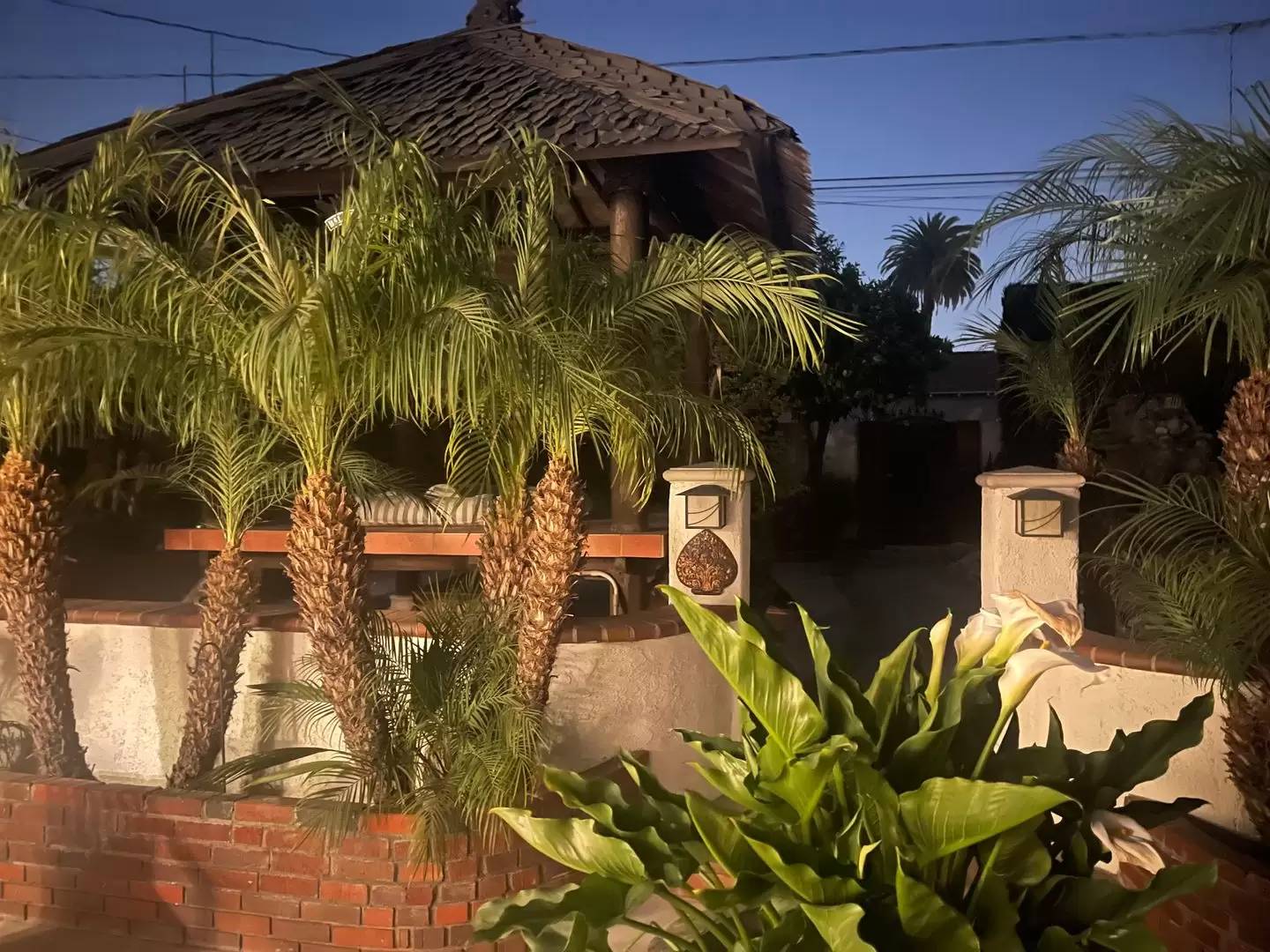 Property Image 45