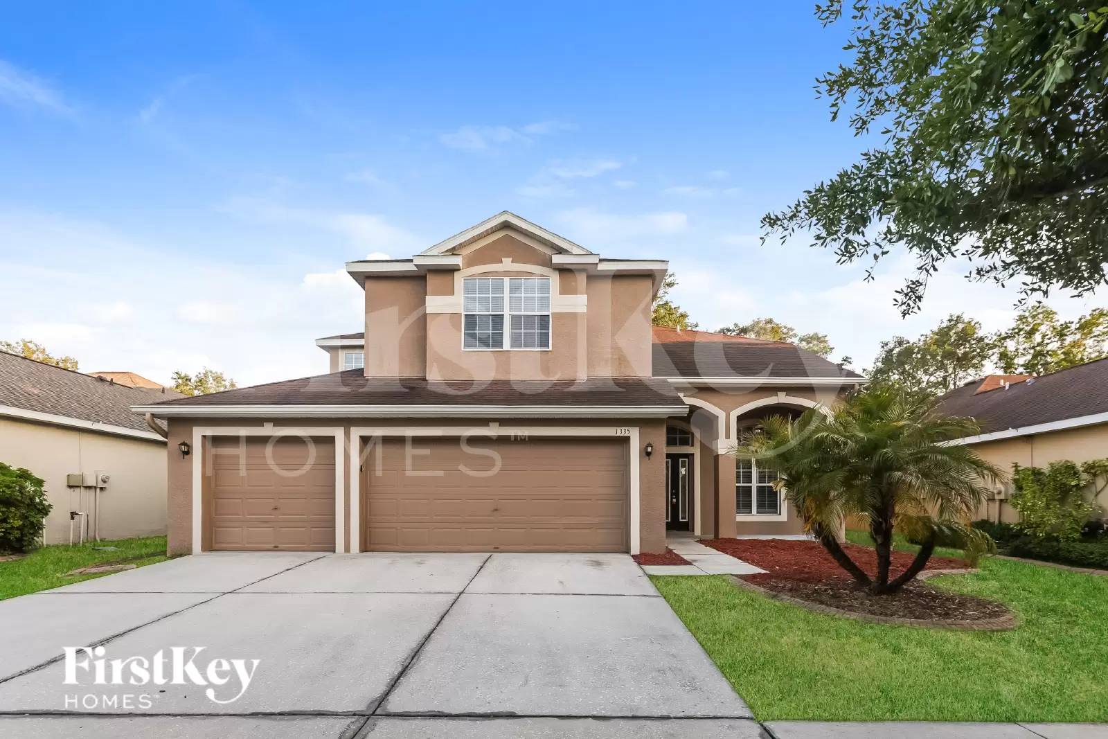 cover background