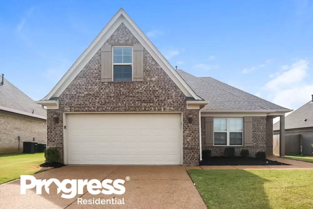 cover background