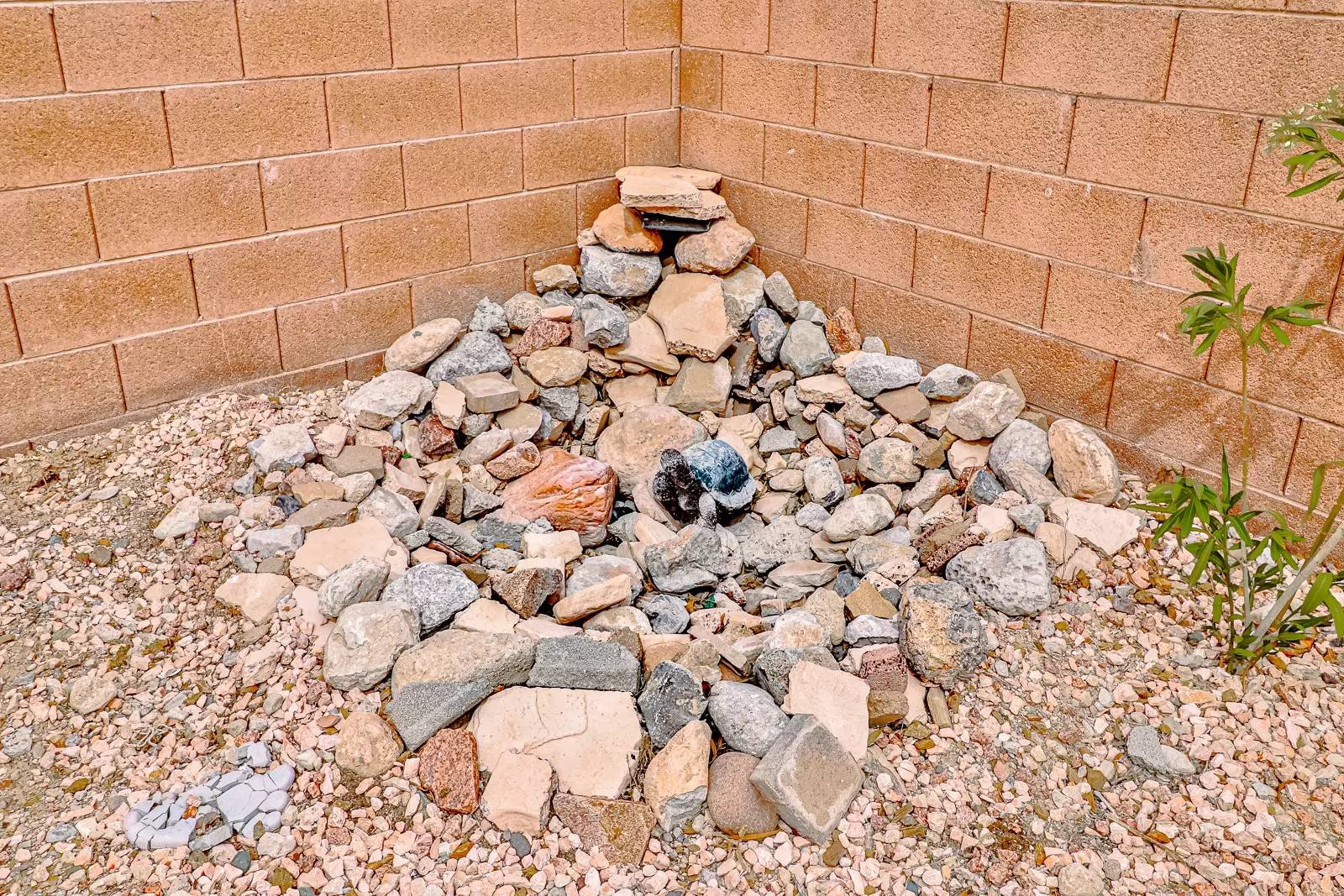 Property Image 46