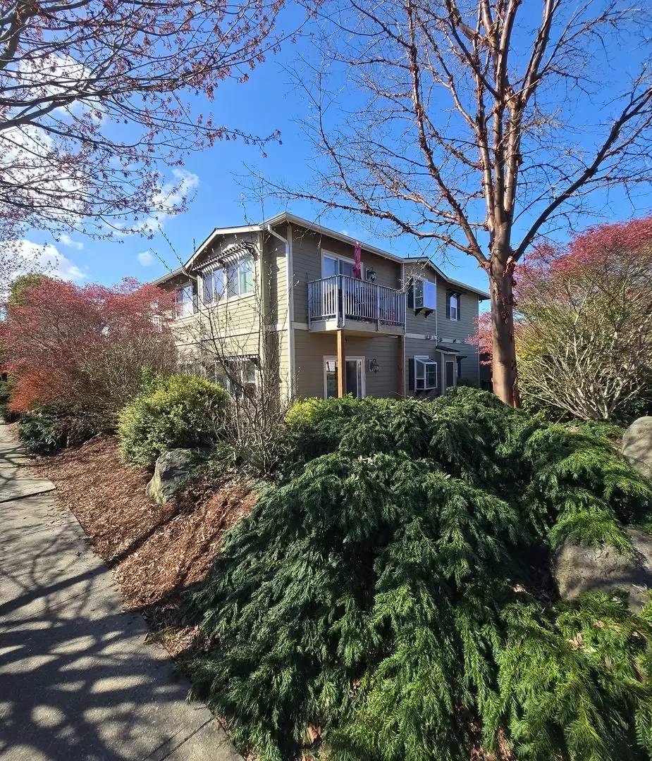 cover background