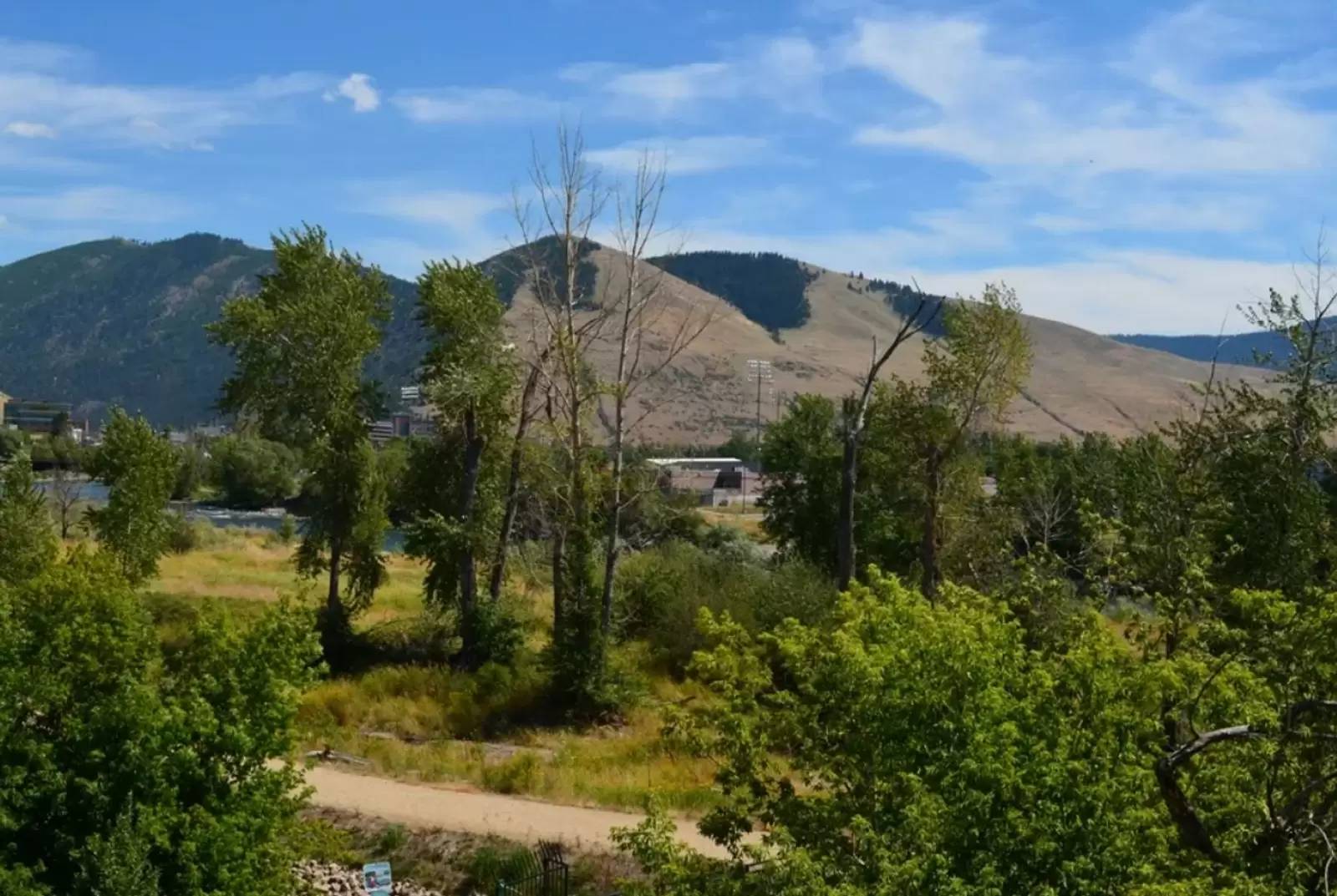 cover background