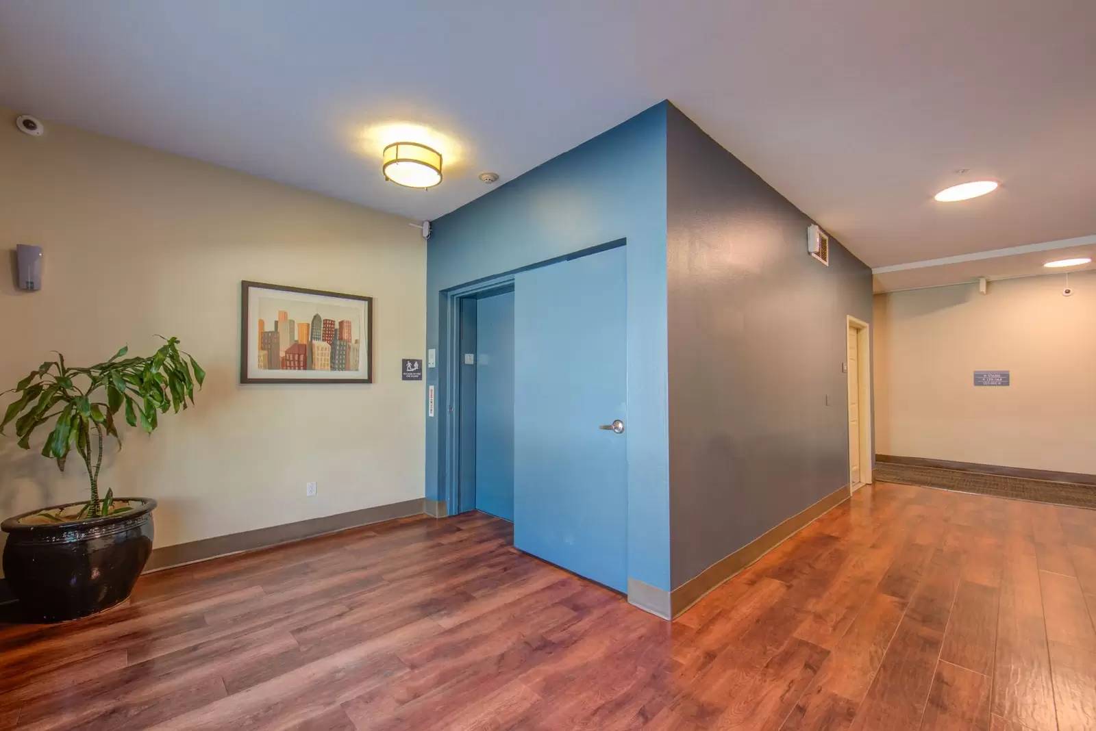 Property Image 61