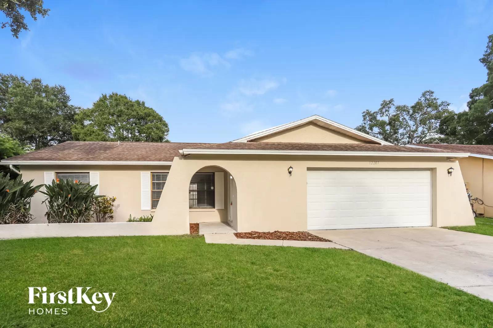 cover background