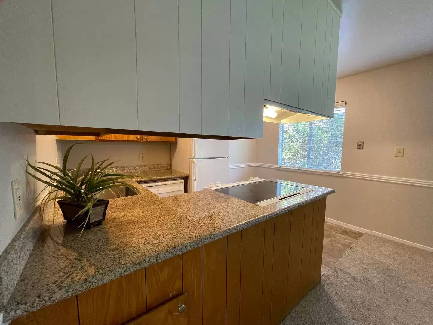 cover background