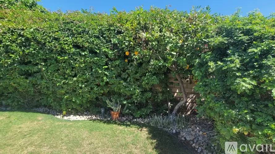 Property Image 46