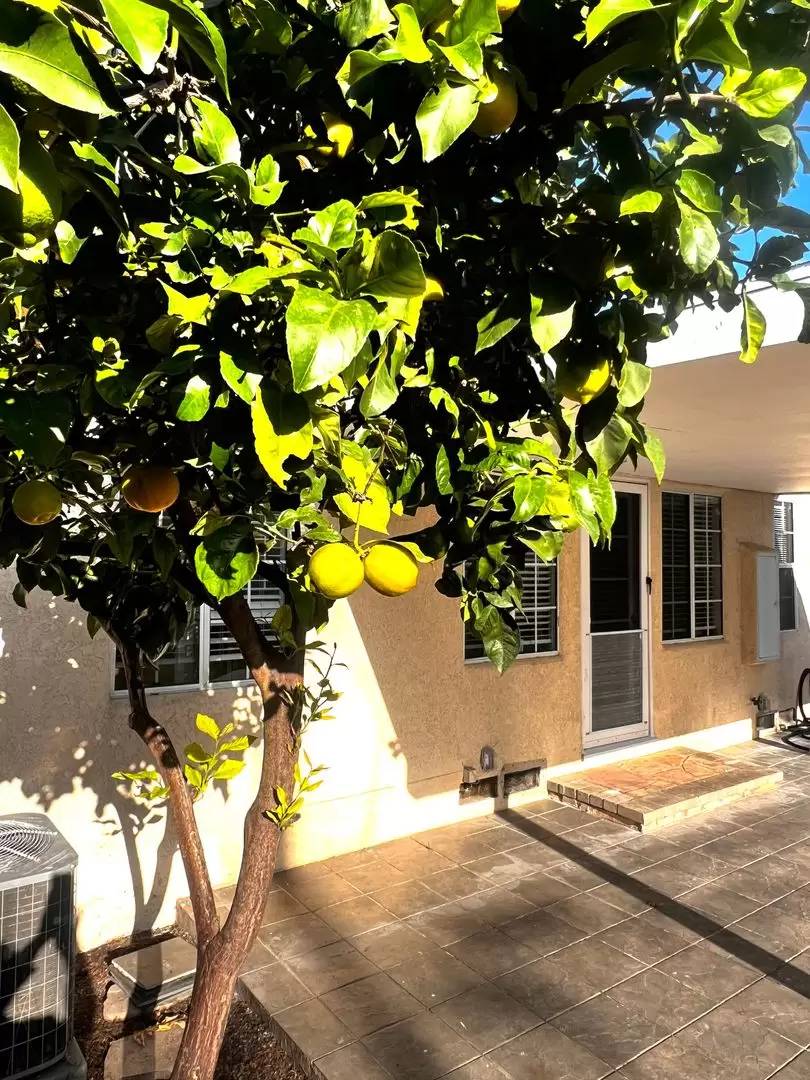 Property Image 59