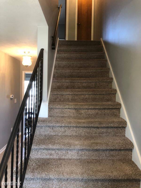 cover background