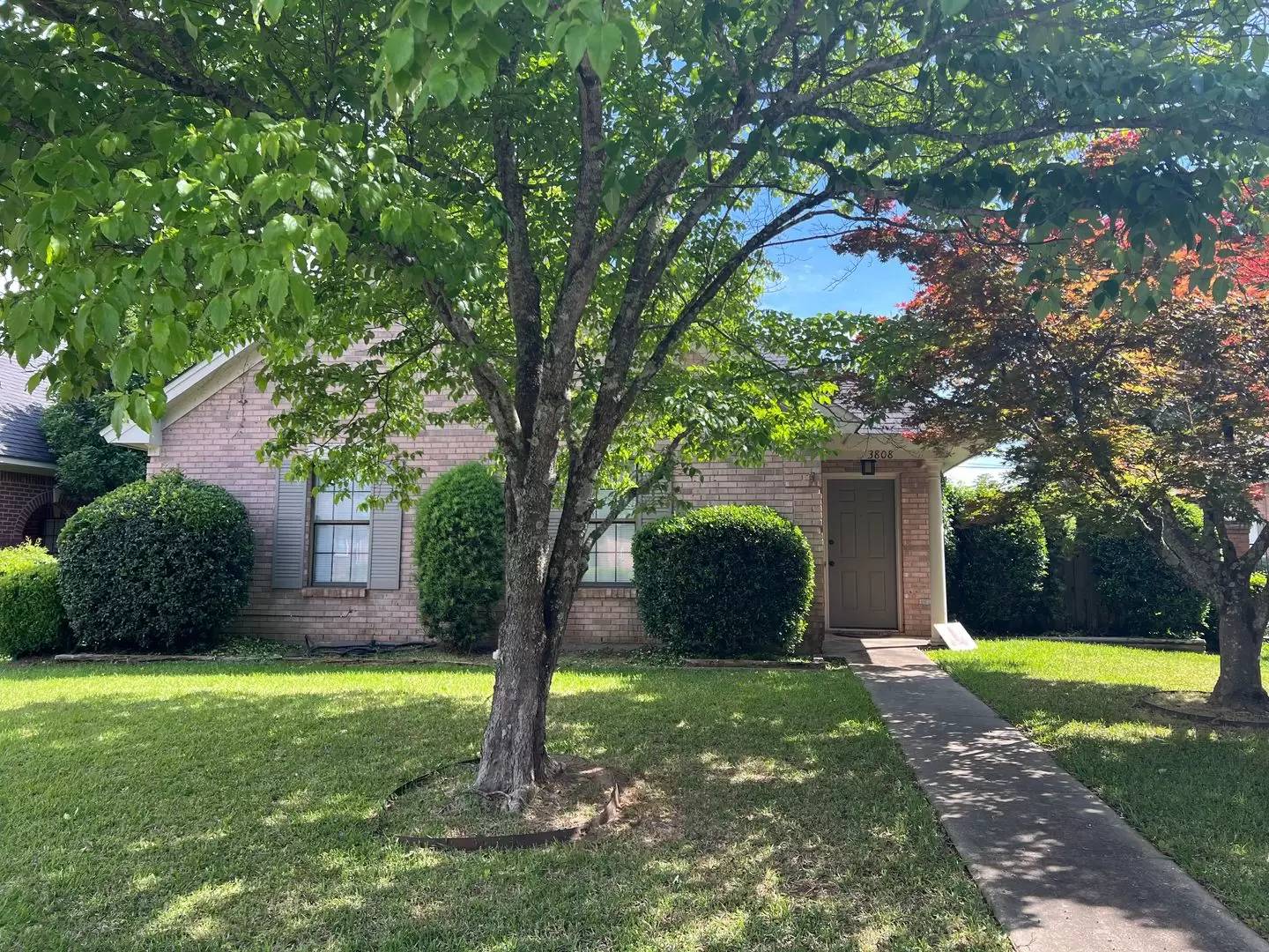 cover background