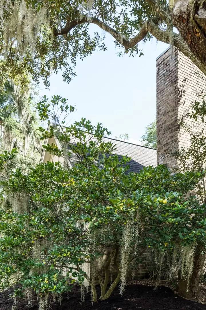 Property Image 81