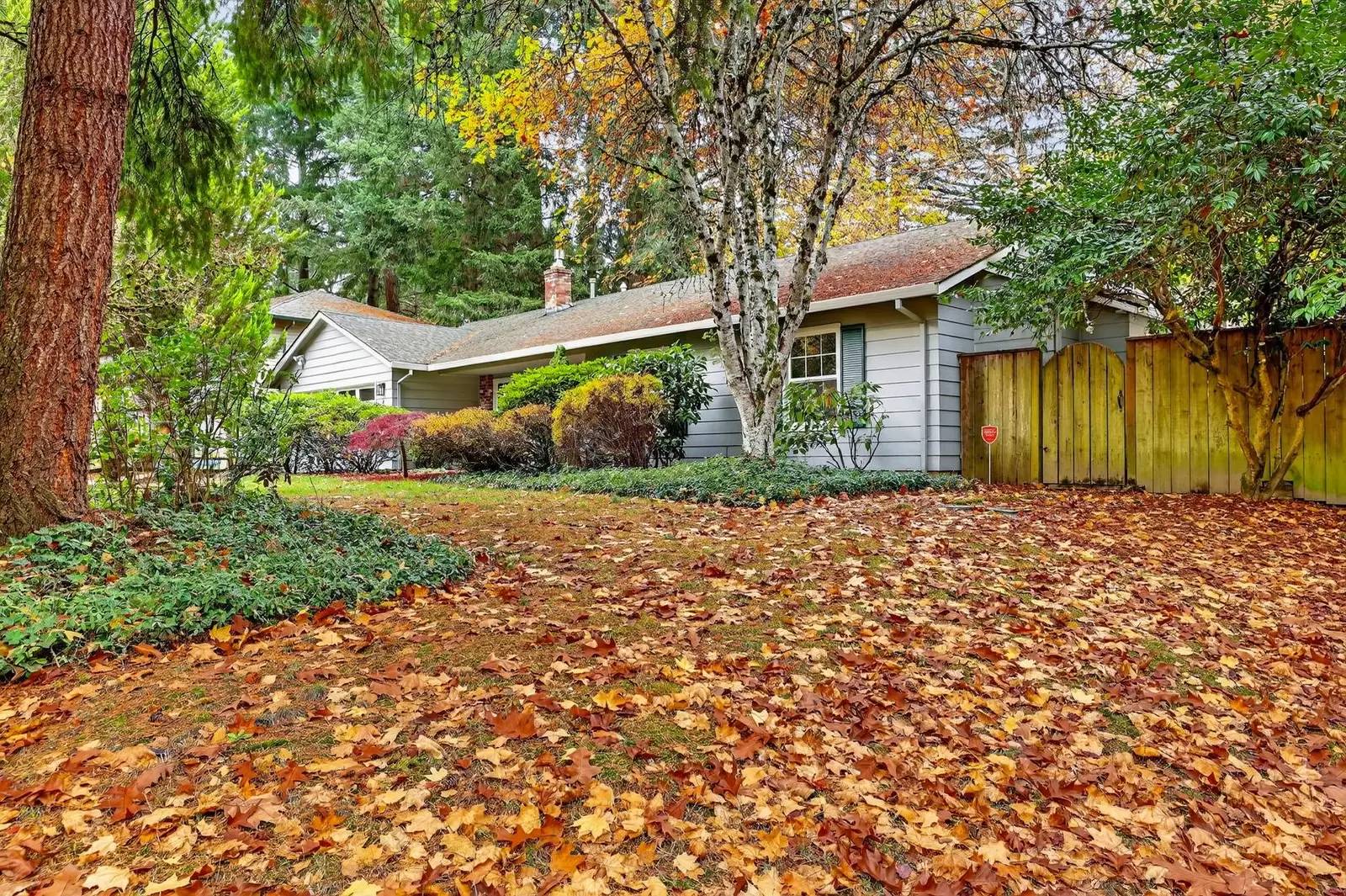Property Image 65