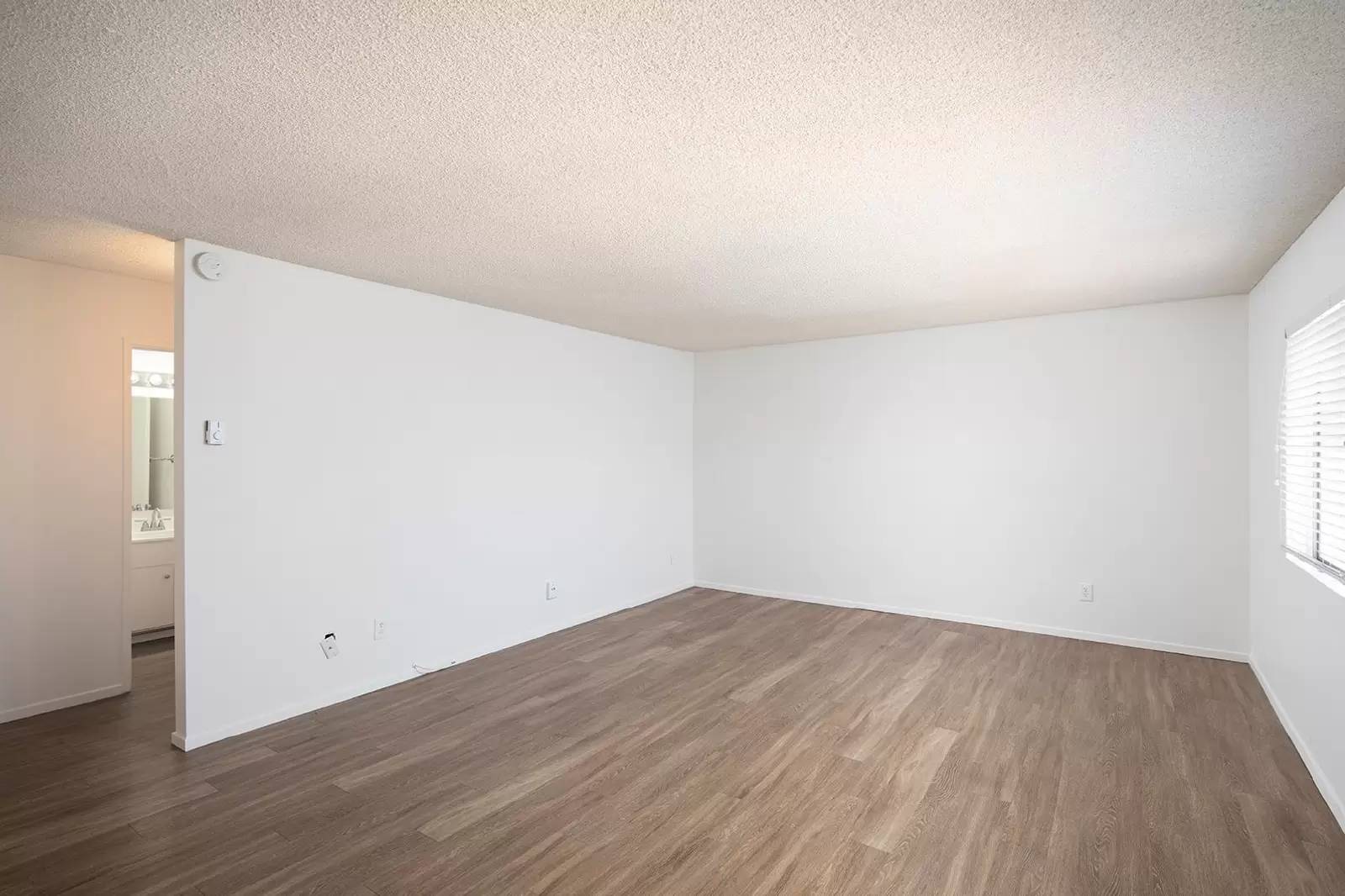 cover background