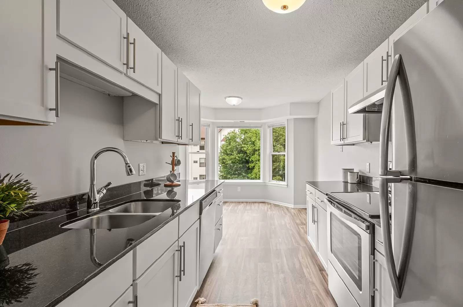 cover background