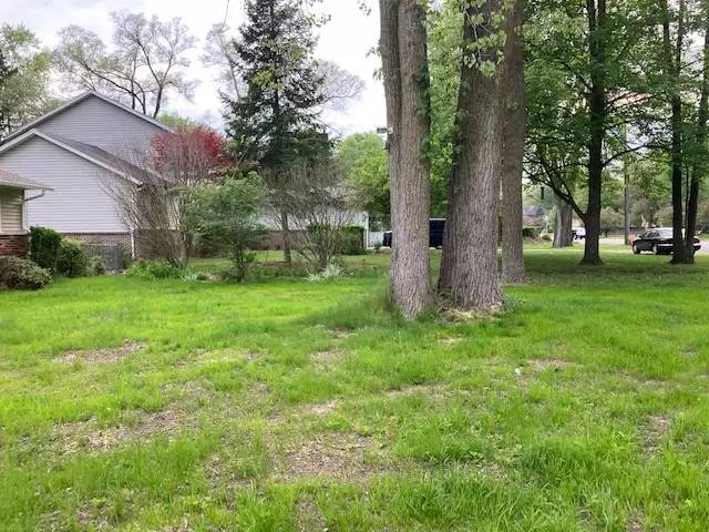 Property Image 8