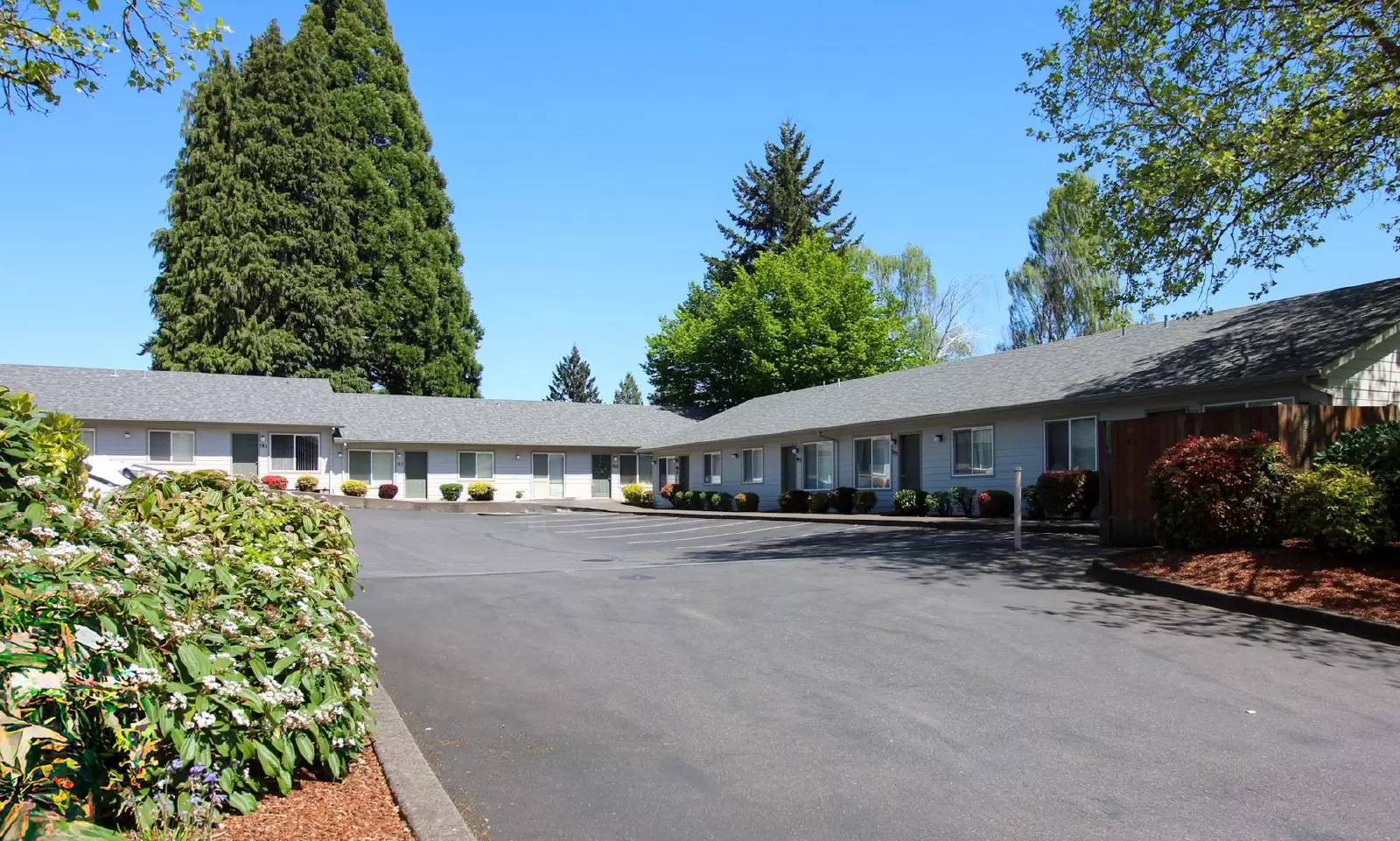 cover background