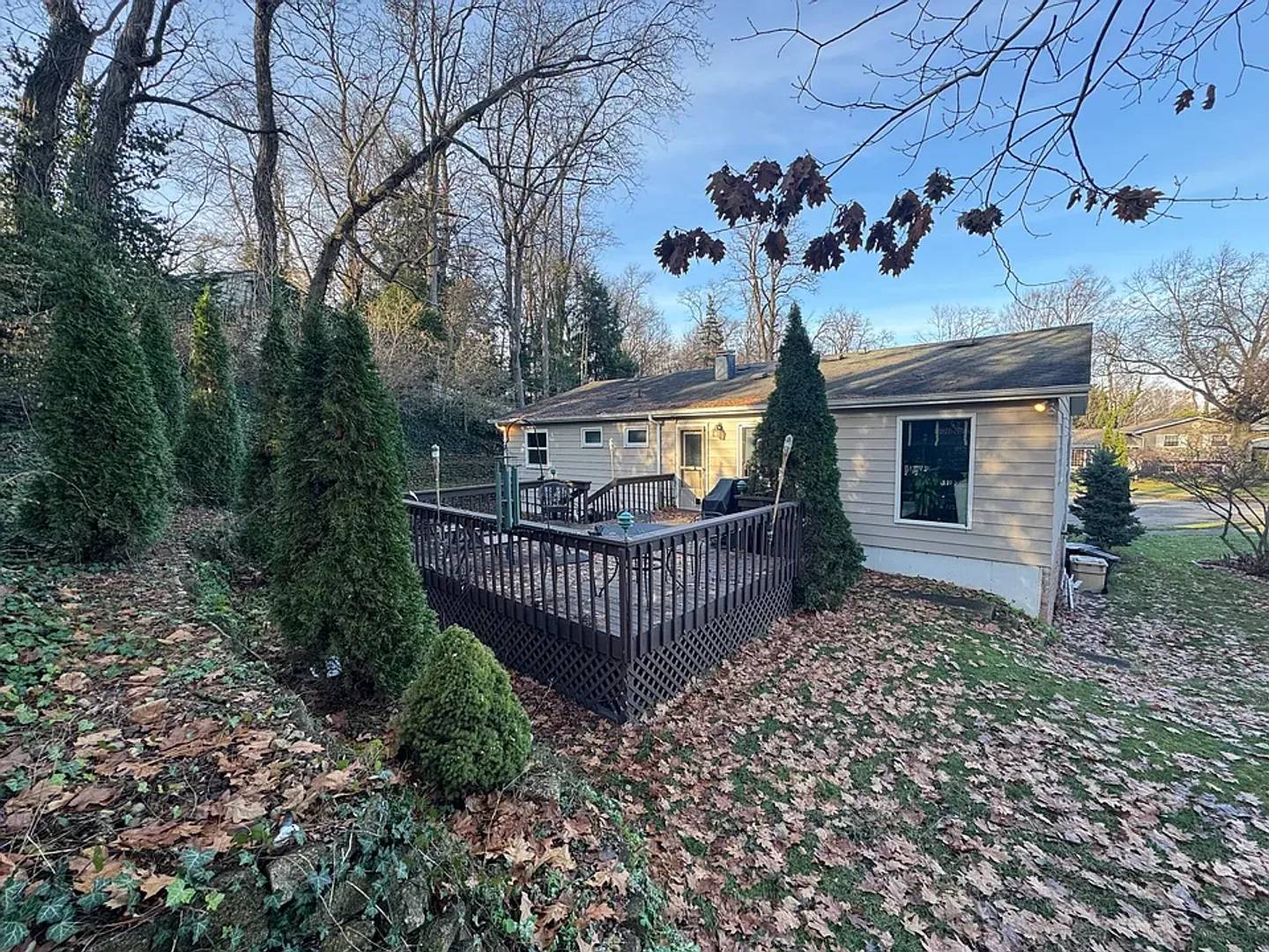 Property Image 11