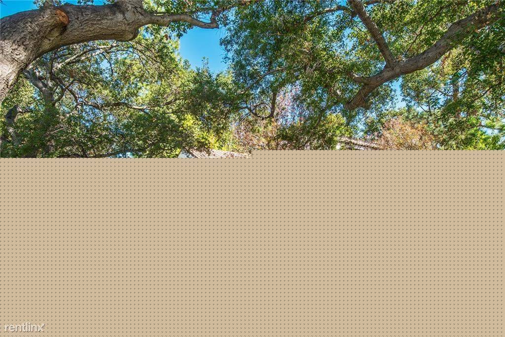 cover background