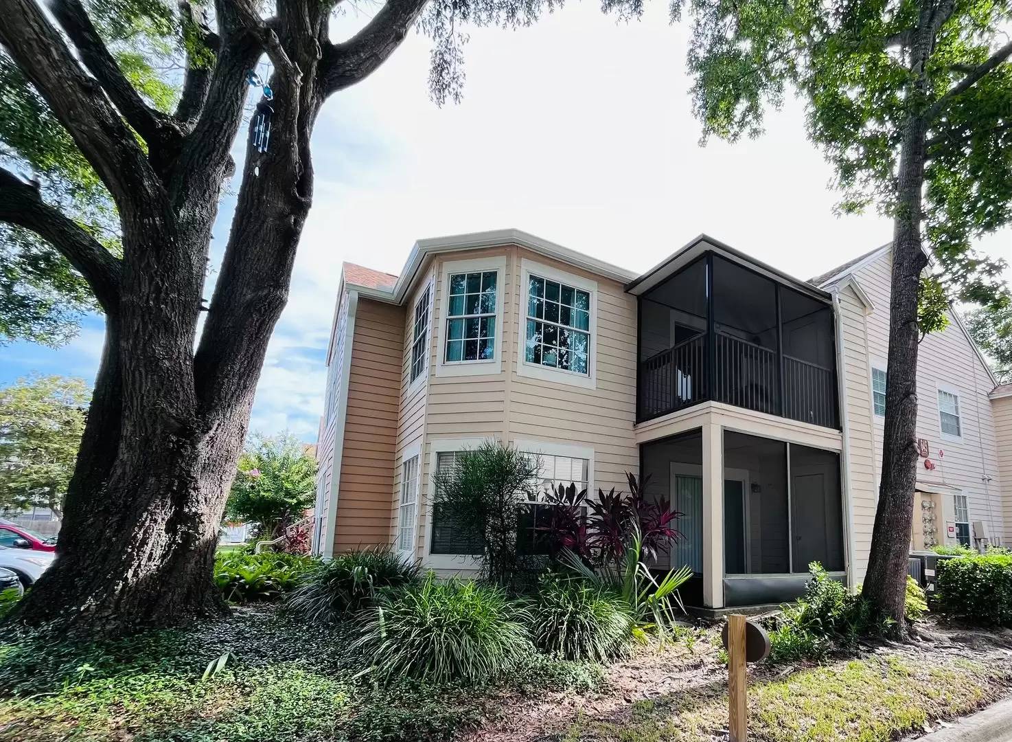 cover background