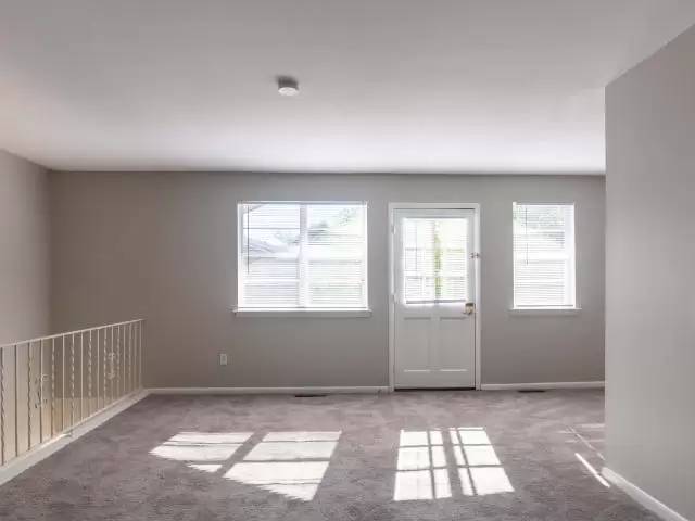 cover background