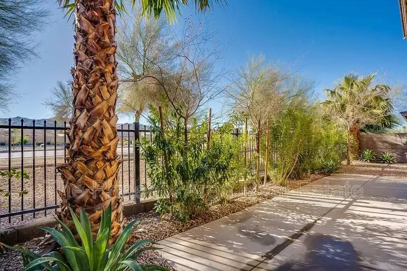Property Image 49