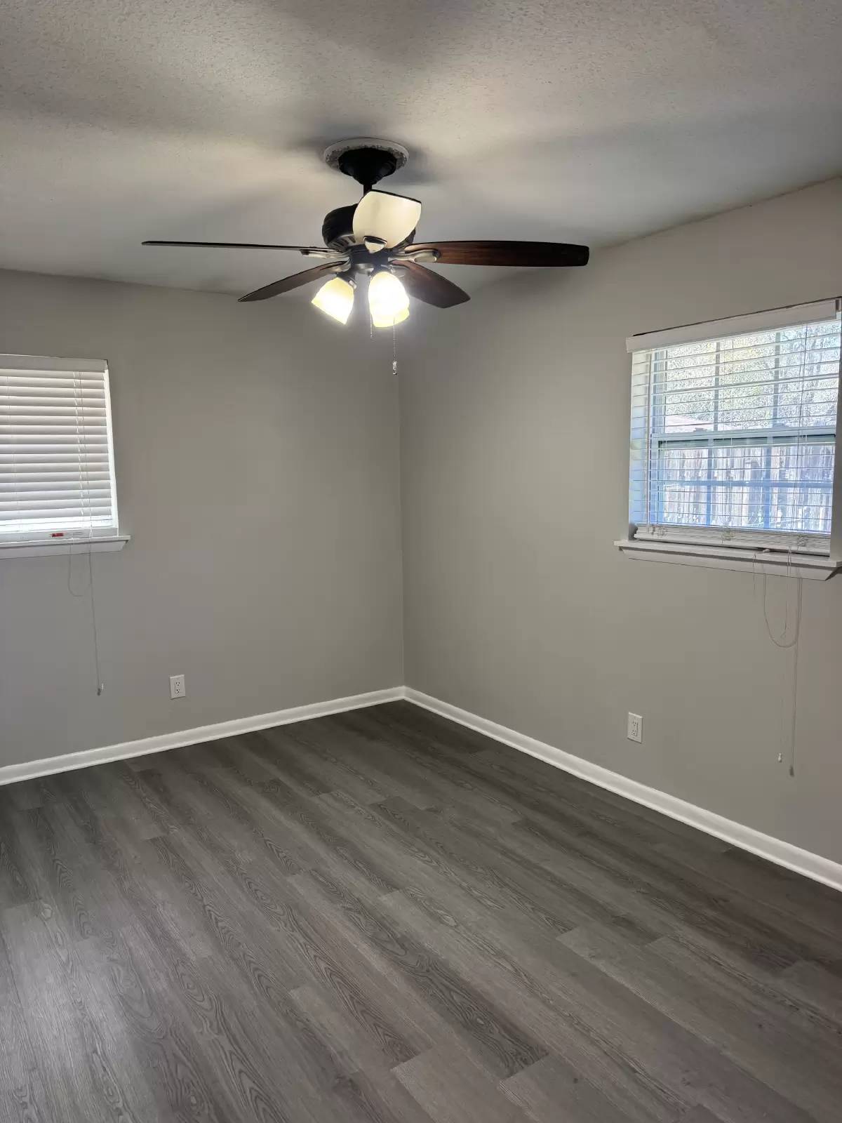 cover background