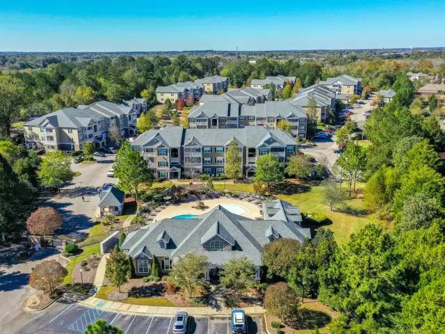 cover background